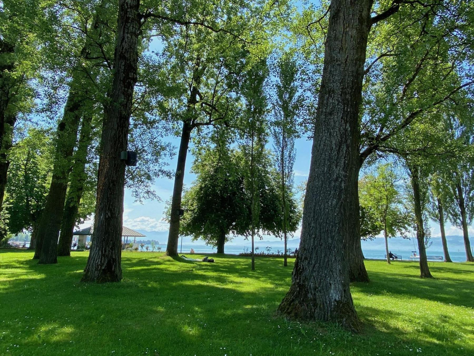 Ferienwohnung Galerie Rosenstrasse Kressbronn am Bodensee Esterno foto